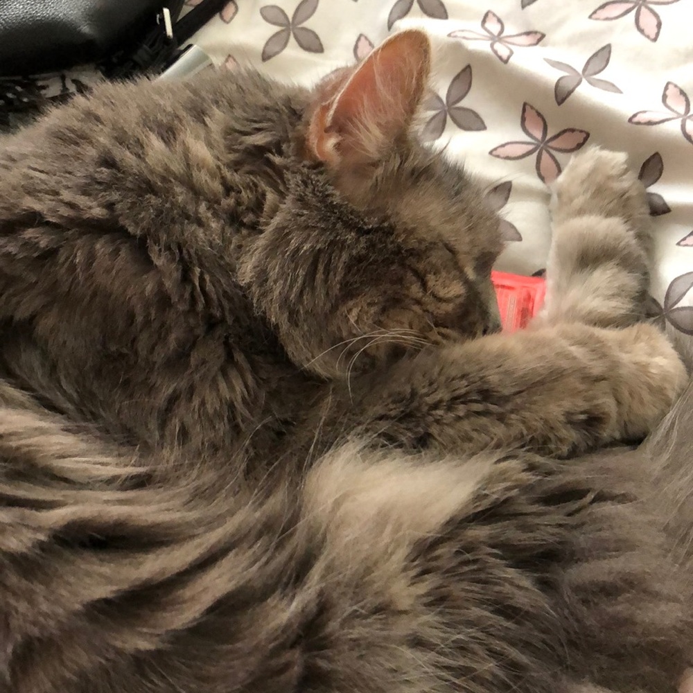 Meet your Posher, Fay